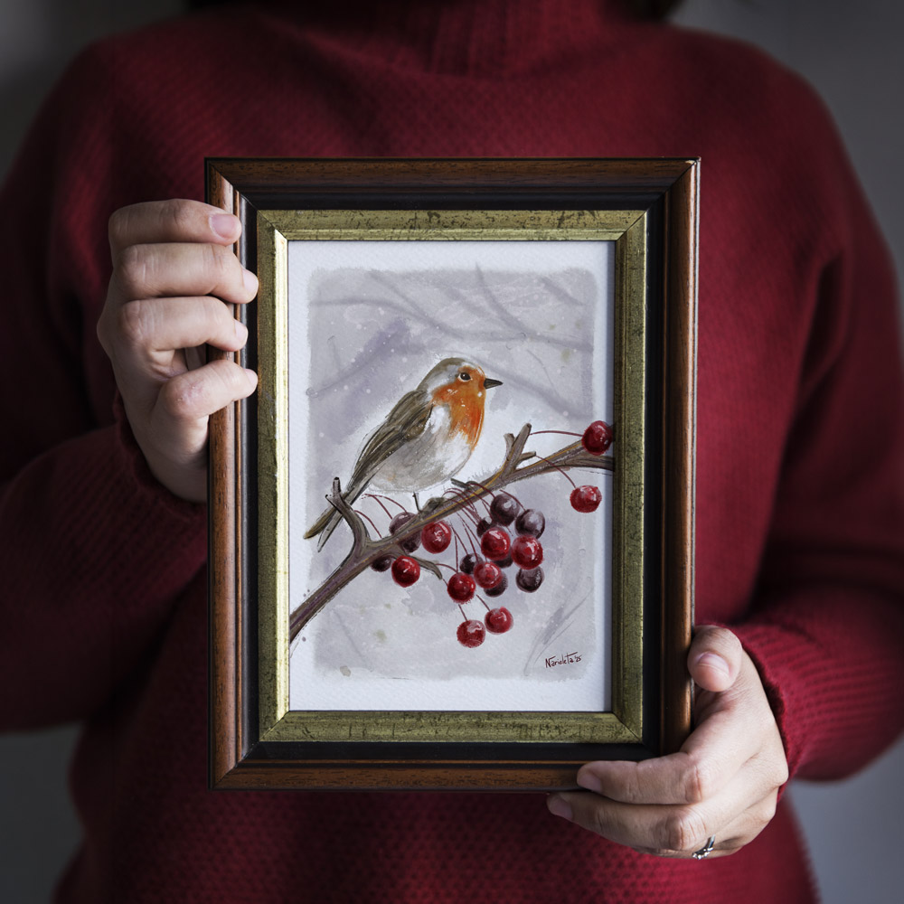 robin bird petirrojo en acuarela